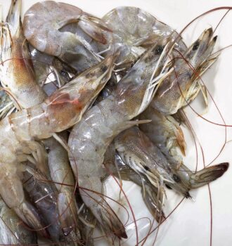 shrimp benefits article representation